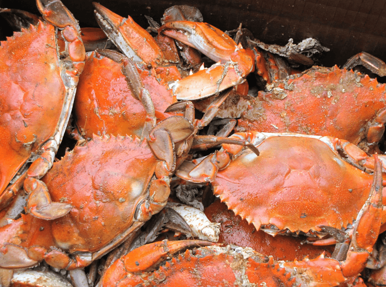 Cooked crabs piled in a box