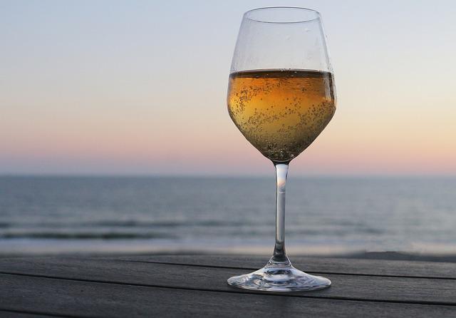 a glass of wine with a water view in the background
